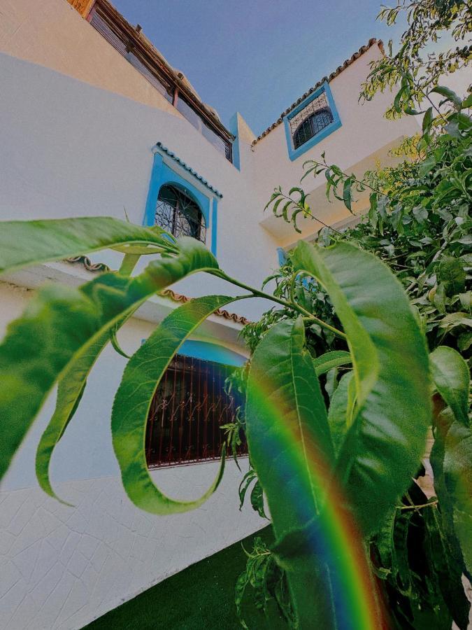 Auberge Dalia Chefchaouen Extérieur photo